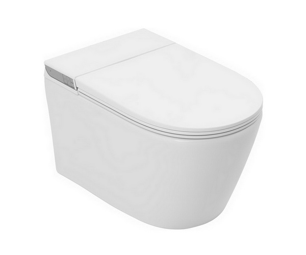 унитаз ALLEN BRAU SMART с функцией биде